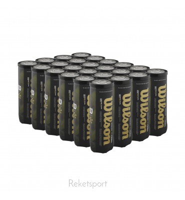 Padelipallid Wilson Premier Padel Speed  Kast